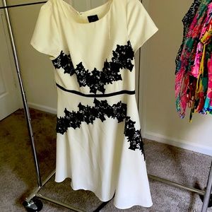 Adrianna papell size 16 white and black dress